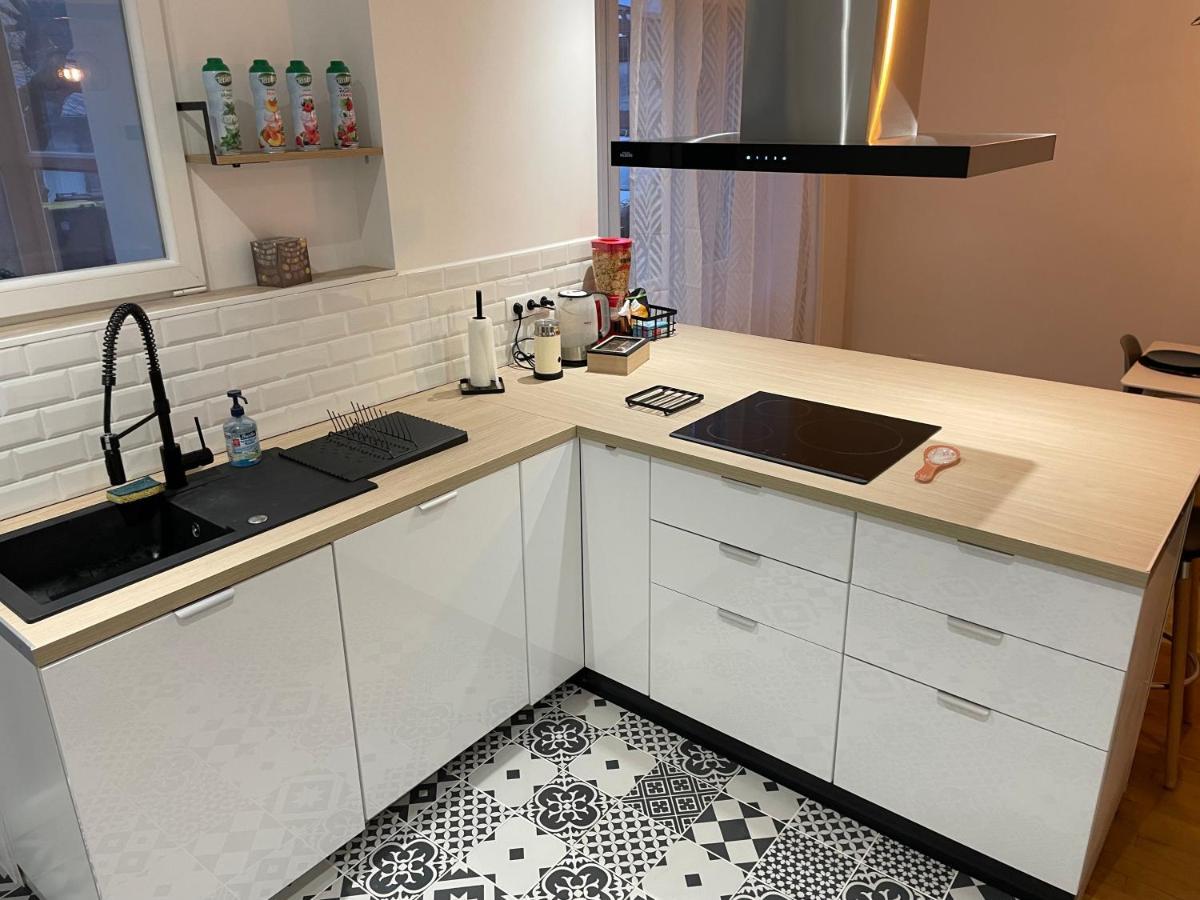 Appartement Du Lion ベルフォール エクステリア 写真