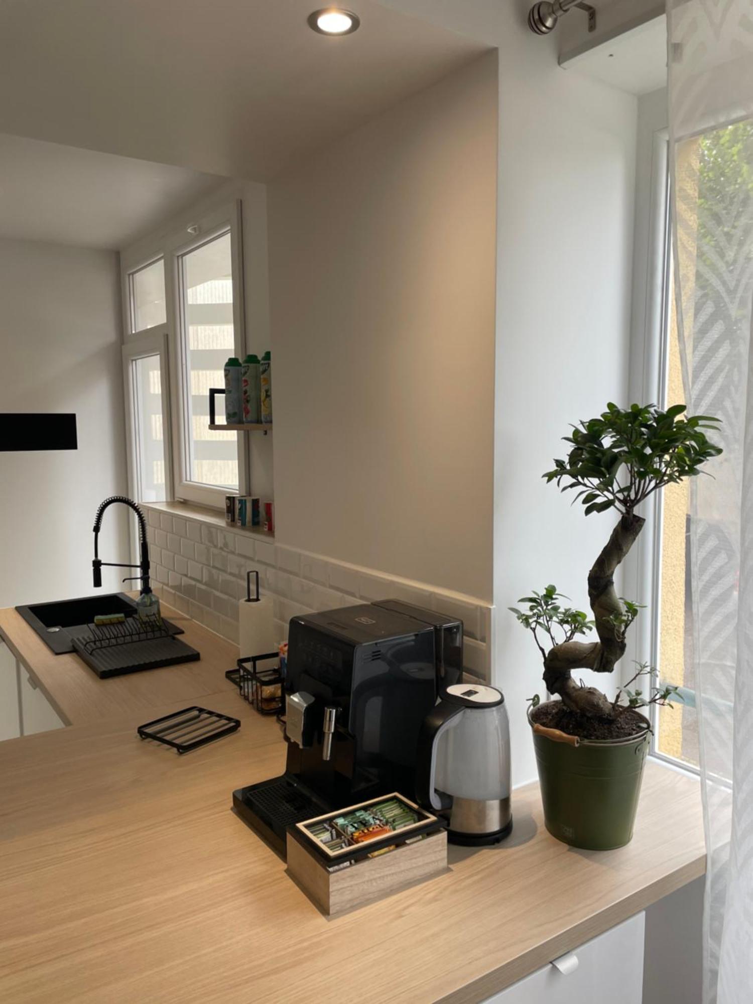 Appartement Du Lion ベルフォール エクステリア 写真